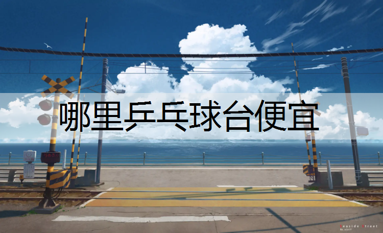 哪里乒乓球台便宜 哪里乒乓球台便宜