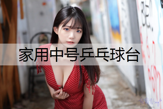 家用中号乒乓球台 家用中号乒乓球台