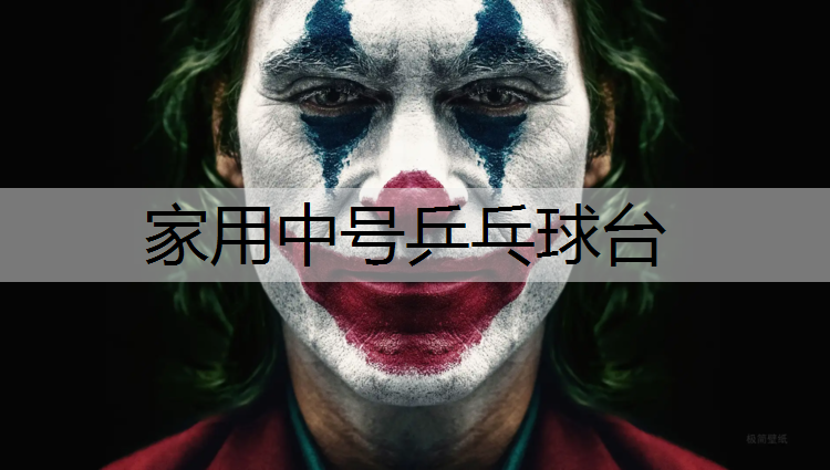 家用中号乒乓球台 家用中号乒乓球台
